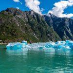 Here’s why the Tilray Brands stock may surge soon despite major risks